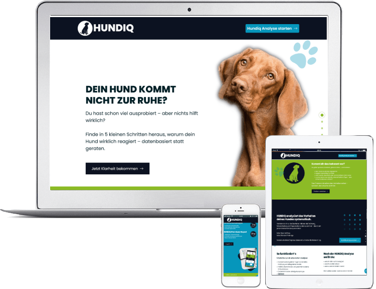 hundiq.de – individuelles Webdesign von cc webstudio