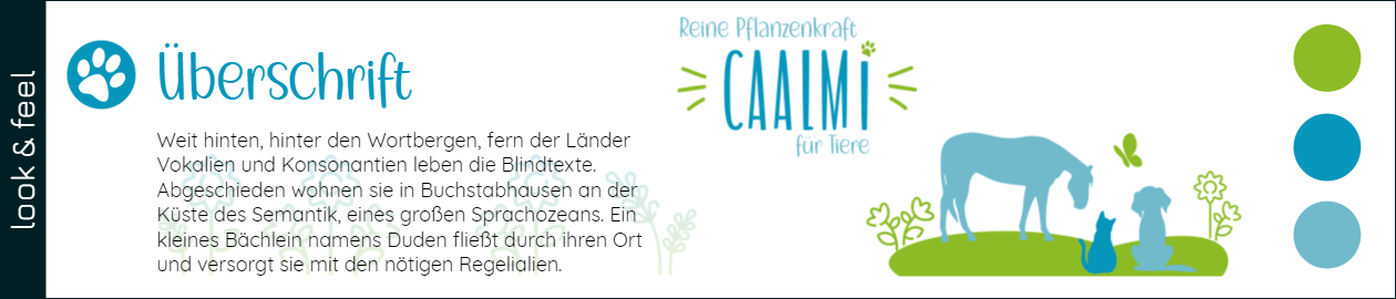 CAALMI – Styleguide – individuelles Webdesign von cc webstudio